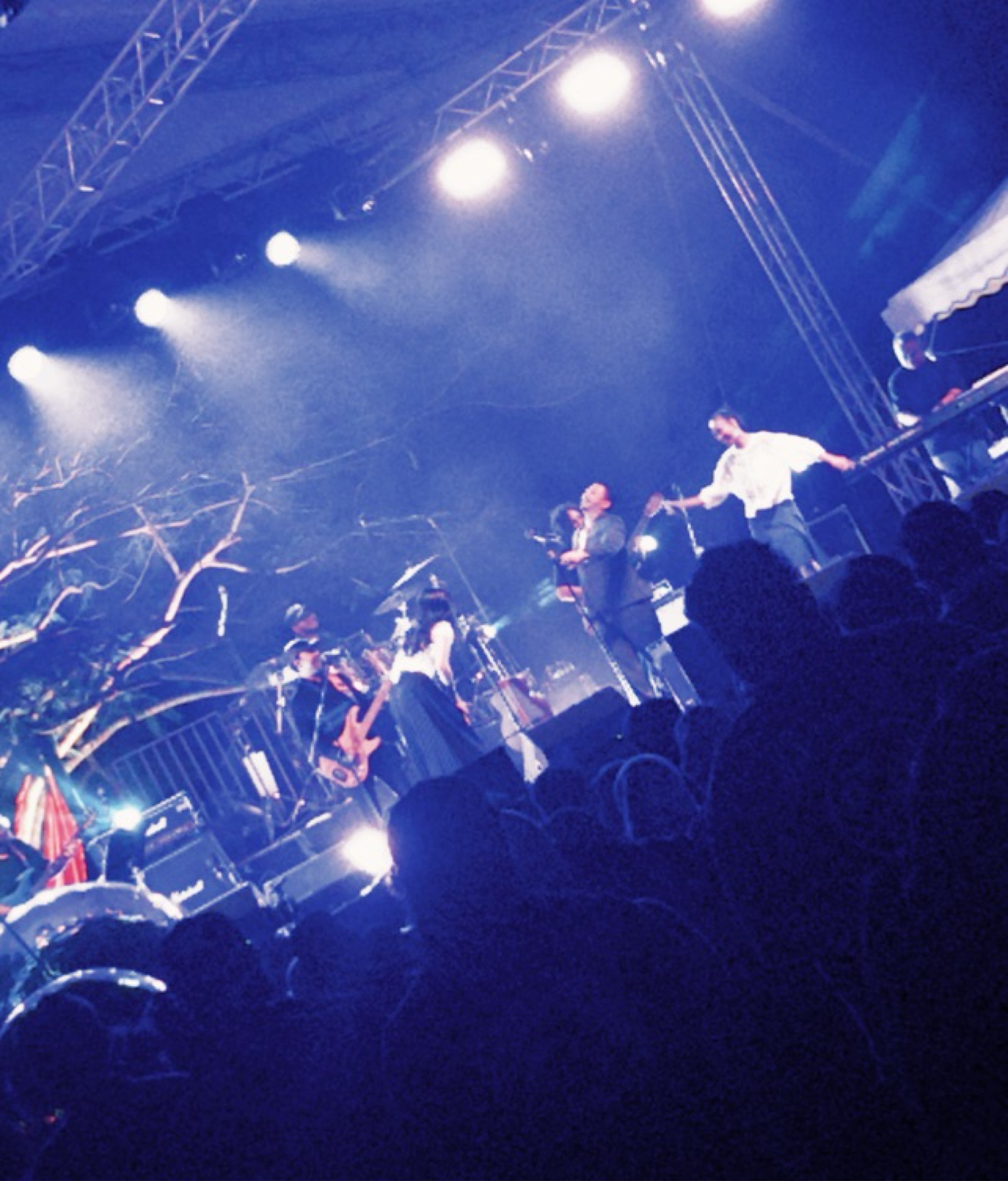 High-Impact Motion Graphics That Bring Your Ideas to Life