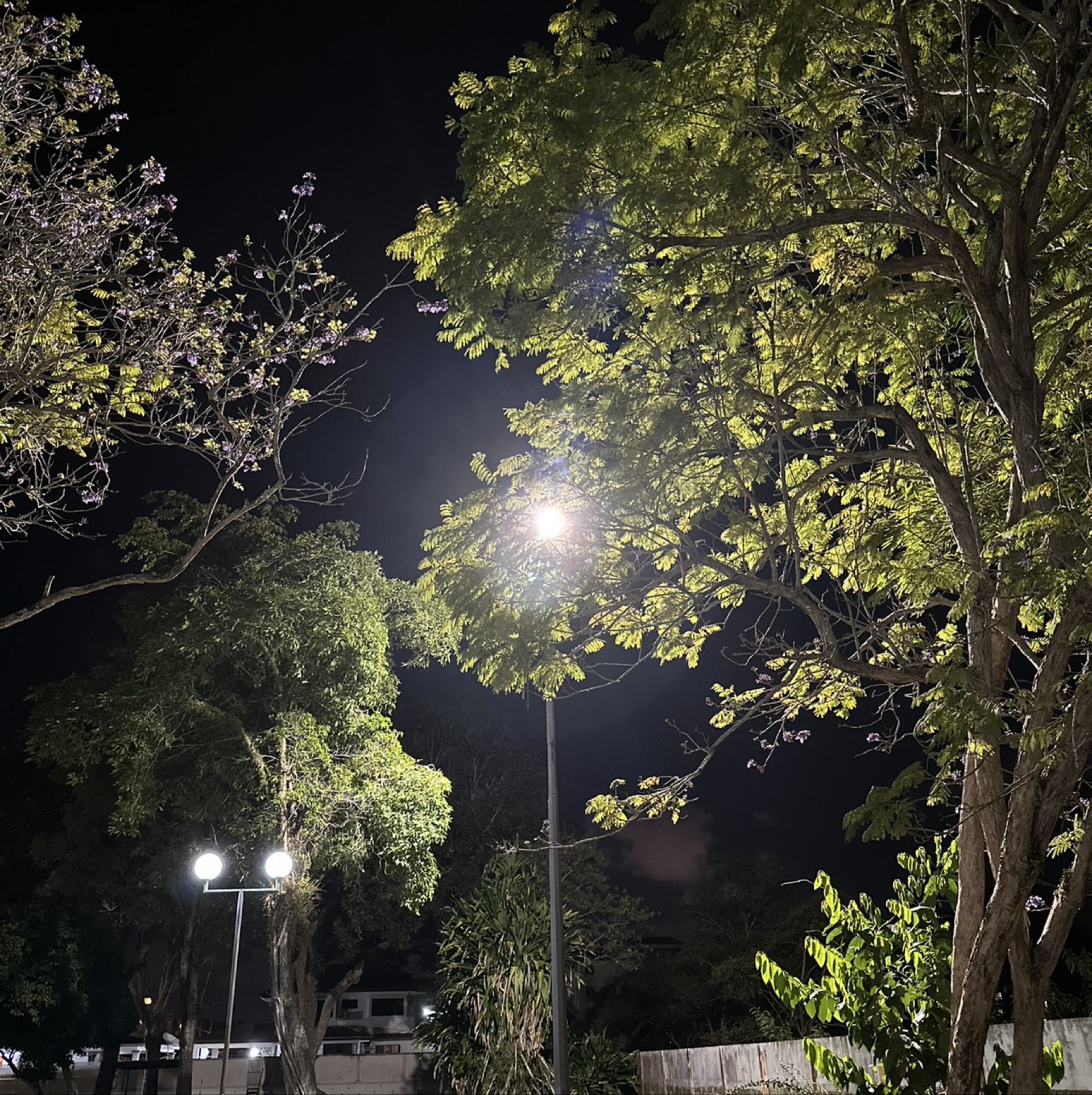 Hello i can help you with photo editing