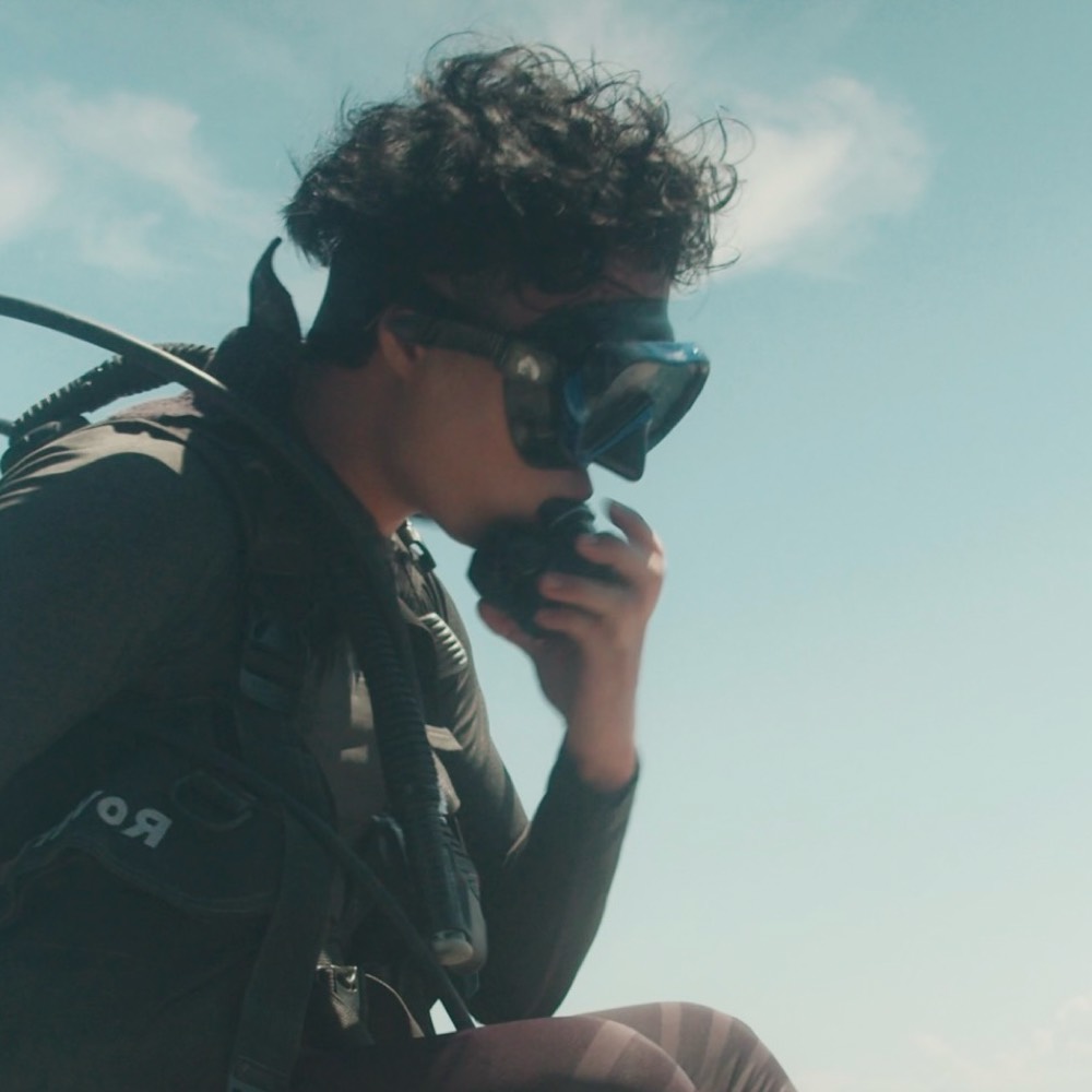 Muhamad Firdaus Shah Bin Mohamad Sairy